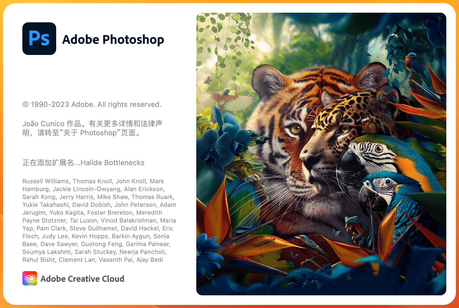 Adobe Photoshop 2024 25.12
