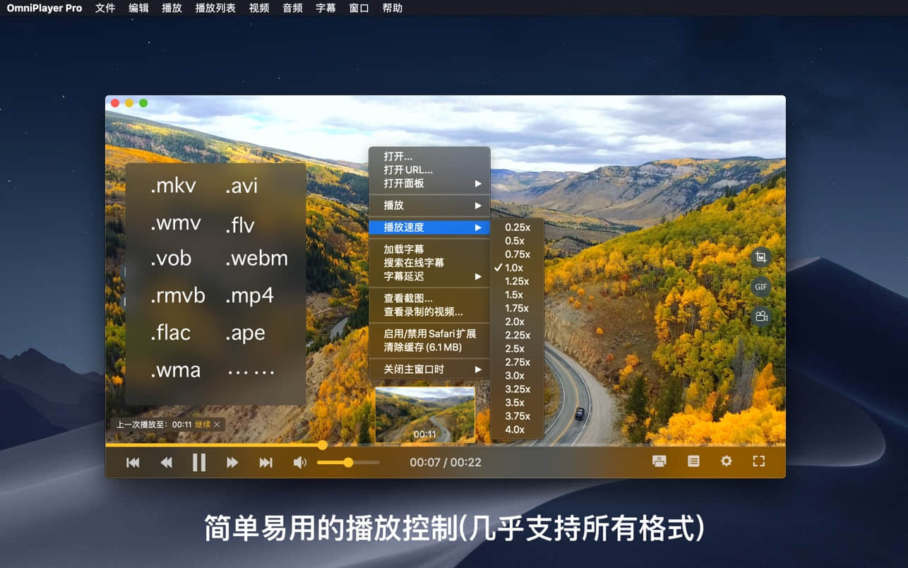 OmniPlayer Pro 2.1.12
