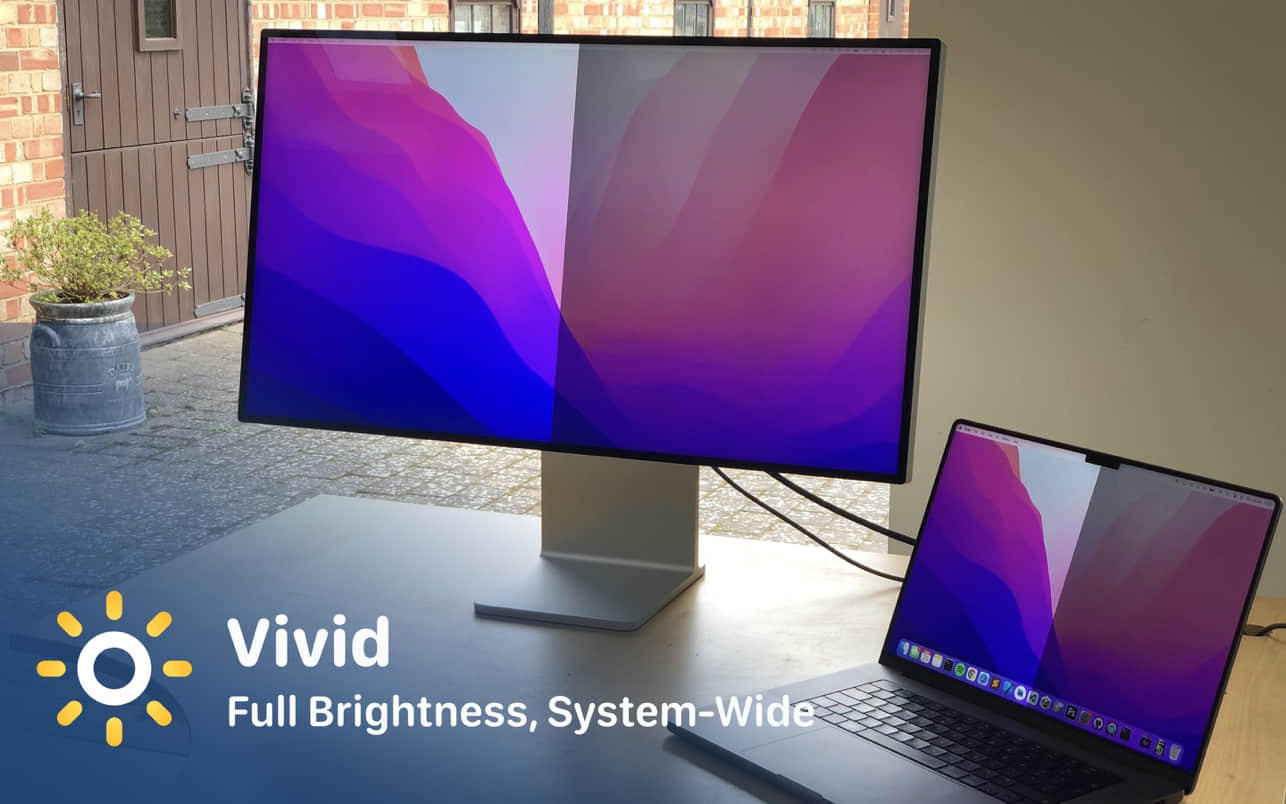 Vivid 2.13