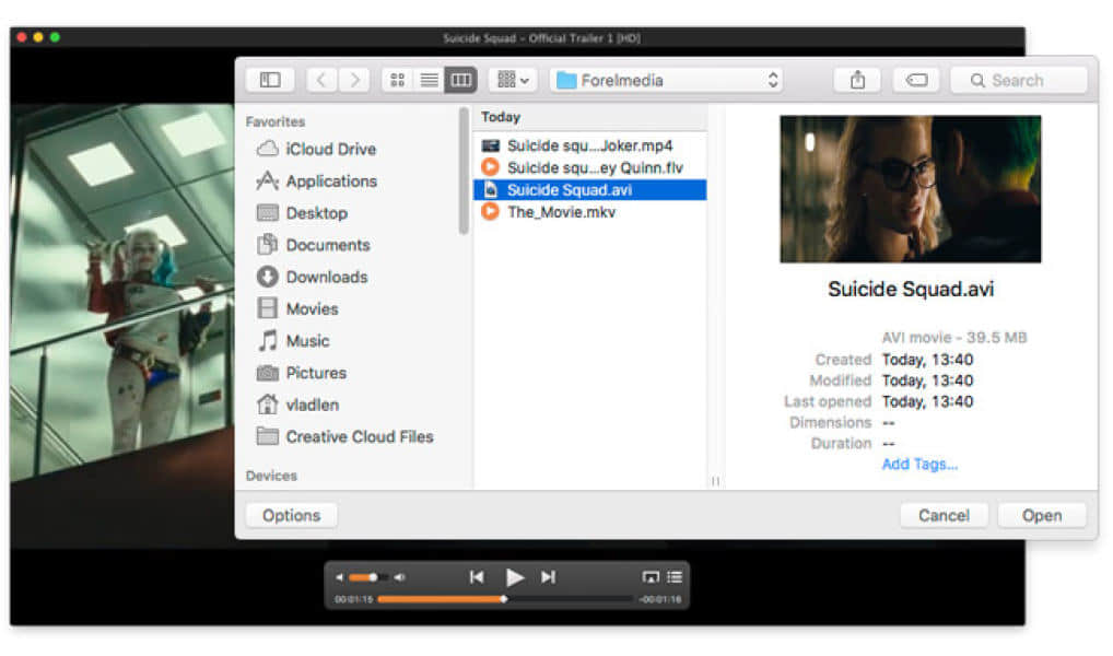 Elmedia Video Player 8.23