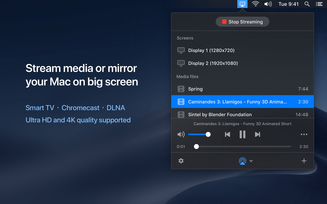 JustStream 2.14