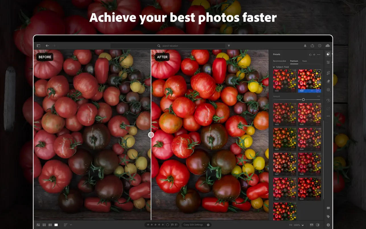 Adobe Lightroom Classic 2026 15.1.0