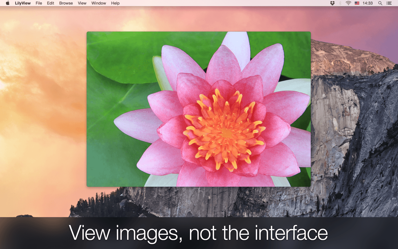 LilyView 1.6 1.7