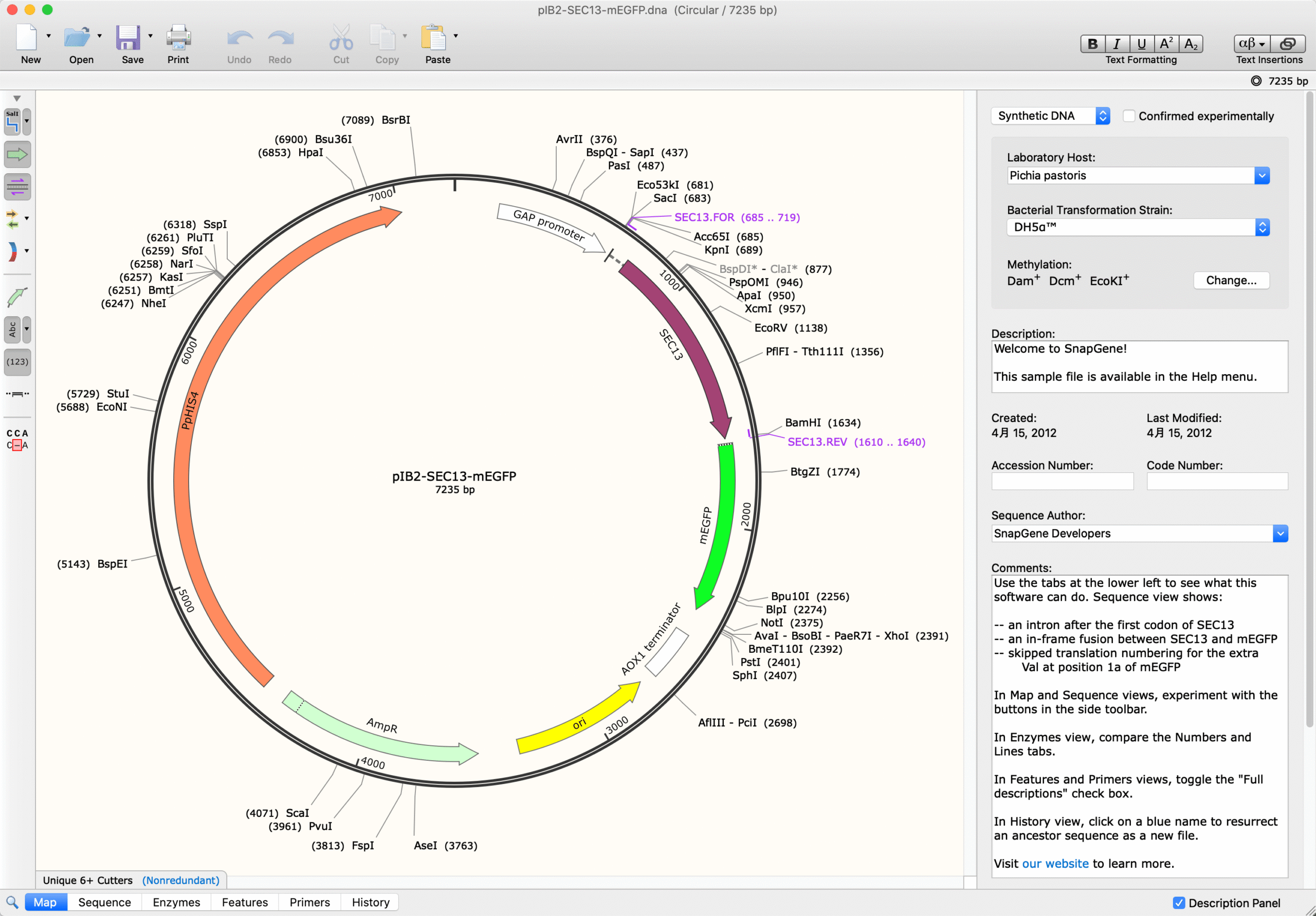 SnapGene 8.2.3