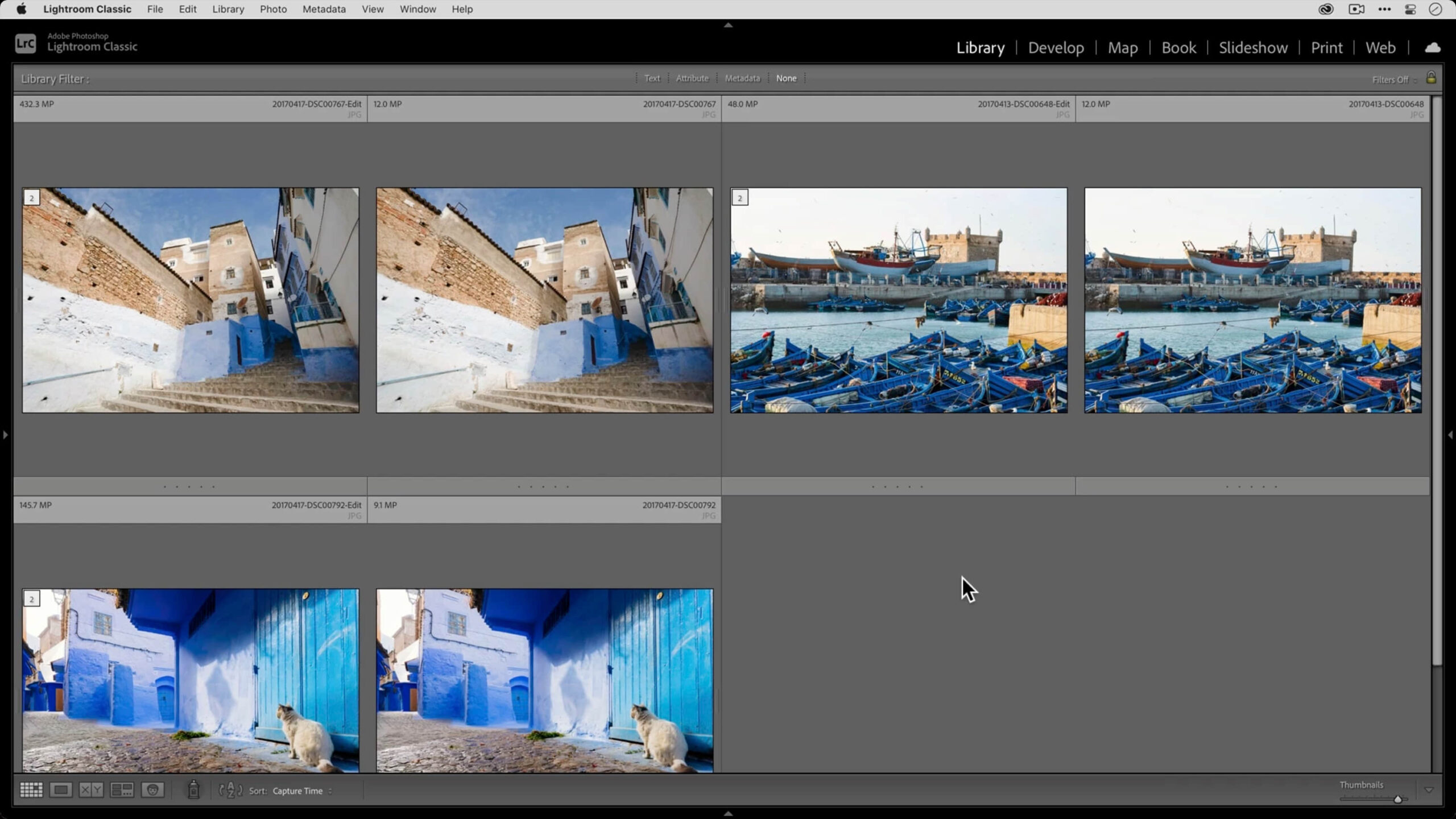 Topaz Gigapixel AI 1.3.5